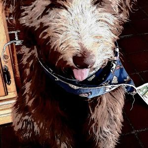 Meet your Posher, Sharon